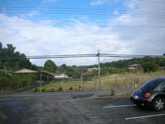DSCN0782.JPG