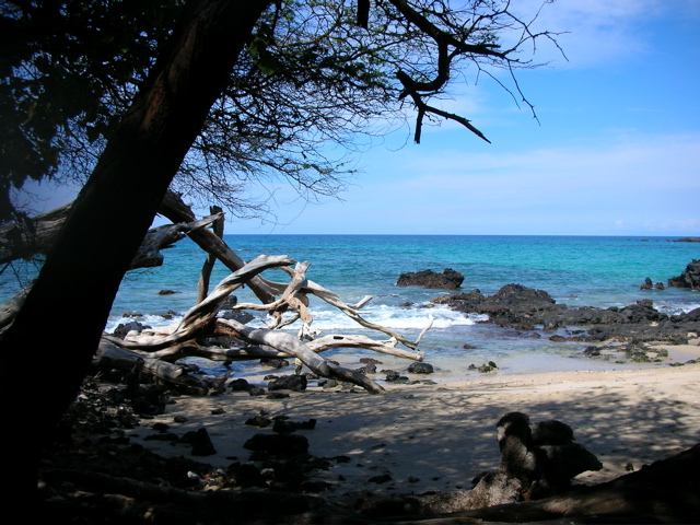 DSCN0541.JPG