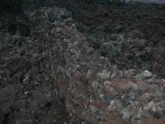 DSCN0768.JPG