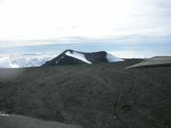 DSCN0733.JPG
