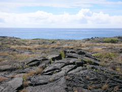 DSCN0433.JPG