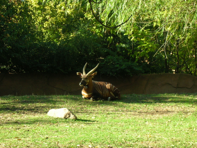 DSCN2587.JPG