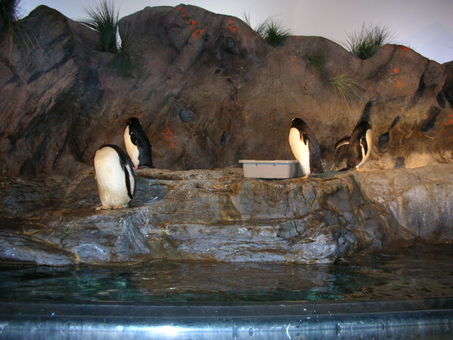 DSCN2611.JPG