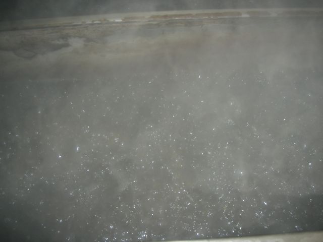 Close-up of Boiling Sap