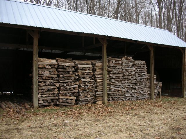 Deadwood from maple trees, stacked and ready.