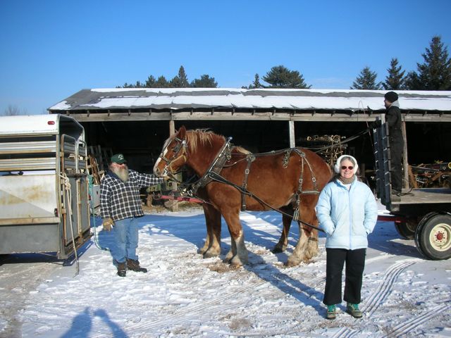 Connie Likes the Horses