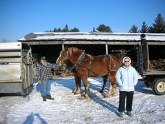 Connie Likes the Horses