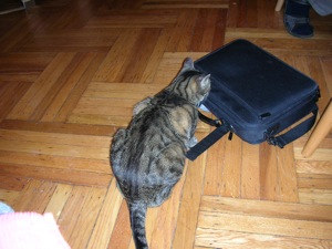 MAX MEETS COMPUTER CASE