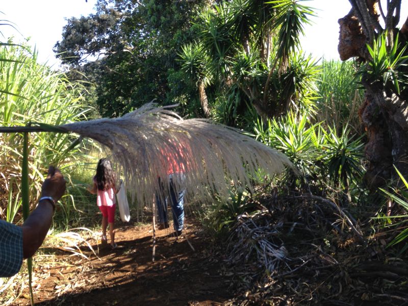 Nifty plant at sugar farm