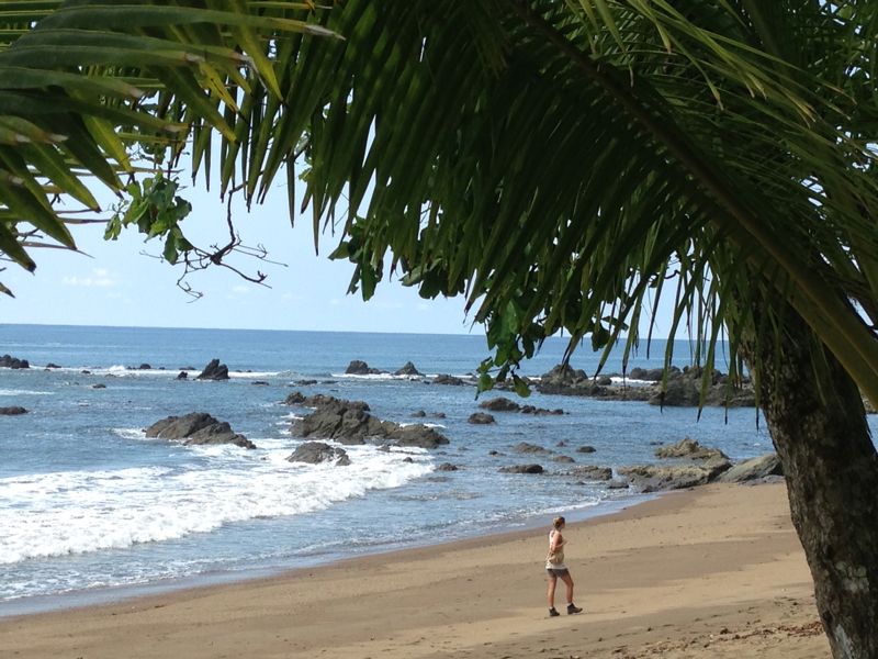 Afternoon by the Sea