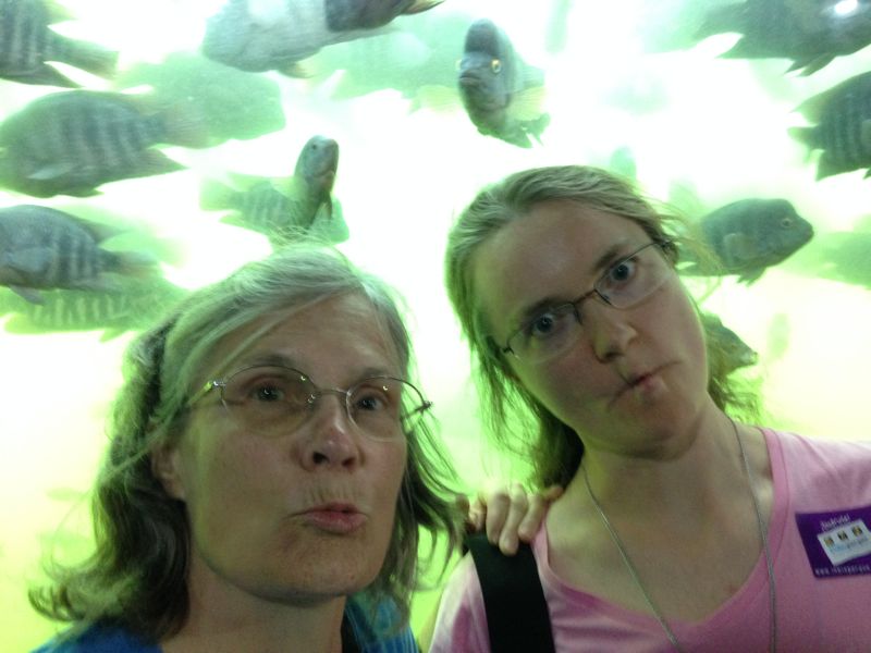 Fish Faces