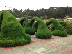 Zarcero Topiaries