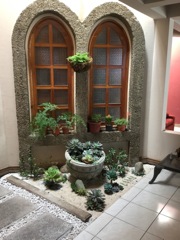 Garden in the house