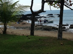 Picnic on the Beach