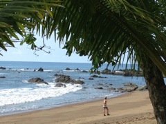 Afternoon by the Sea