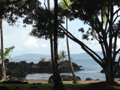 Morning on the beach