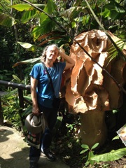 Connie with Giant Mushroom