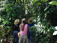 Amanda, Bethany & Timothy watching a sloth