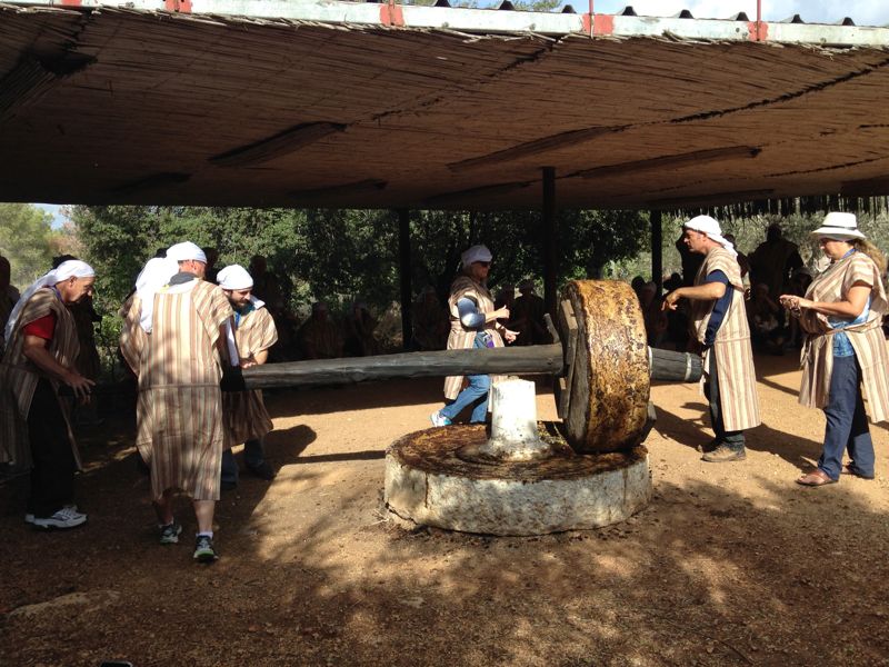 Grinding Olives