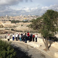 On Top of Mount of Olives