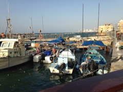 Jaffa Harbor Fishing Boats