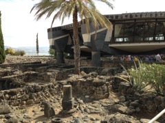 Capernaum 